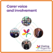 Carer voice and involvement