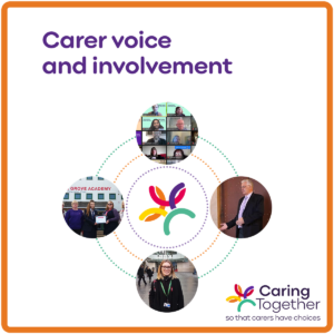 Carer voice and involvement