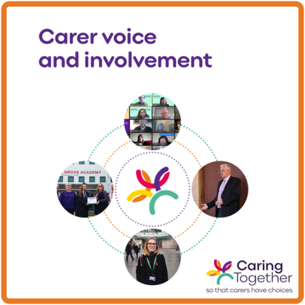 Carer voice and involvement