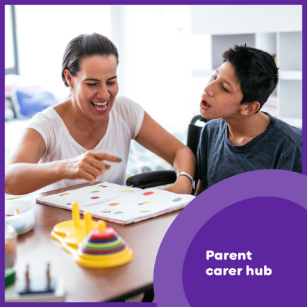 Parent carers hub