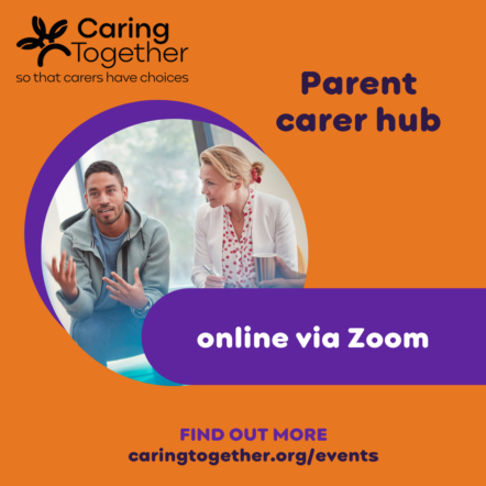 Parent carer hub online via Zoom