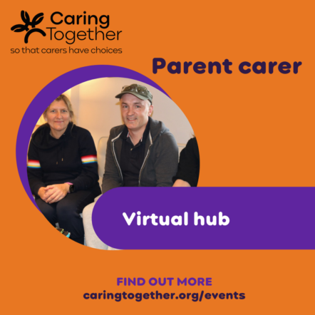 Parent carer virtual hub