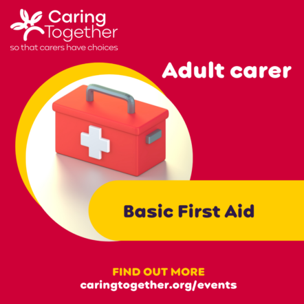 Adult Carer First Aid Session