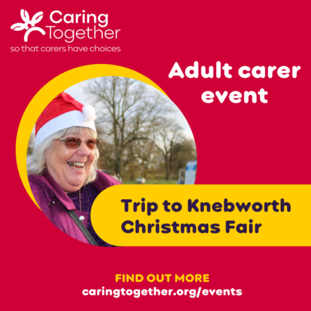 Trip to Knebworth Christmas Fair