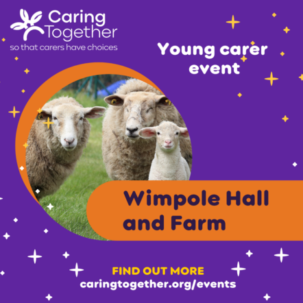 Young Carer event Wimpole Hall