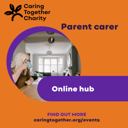 Parent carer online hub