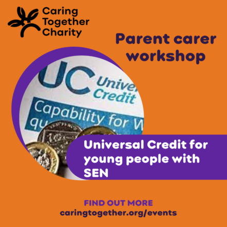 Parent carer online workshop