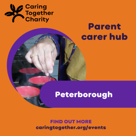 Parent carer hub