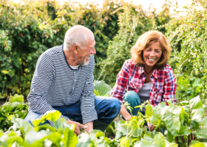 Norfolk Befriending Service volunteer helping with gardening