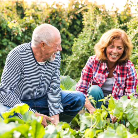 Norfolk Befriending Service volunteer helping with gardening