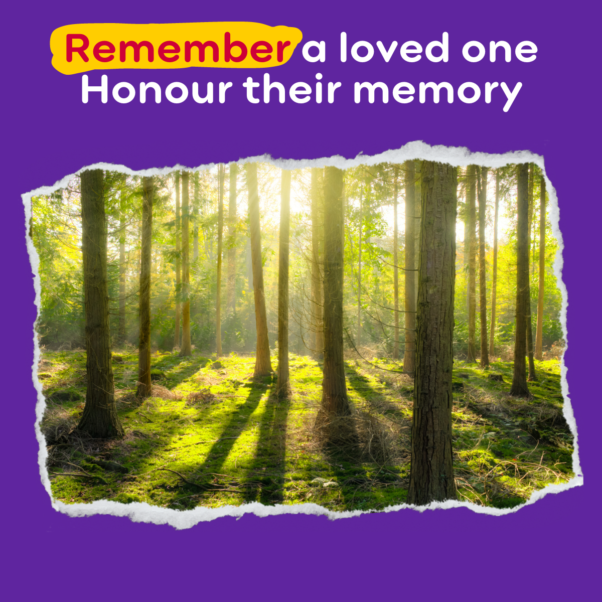 Remember a loved one, honour their memory