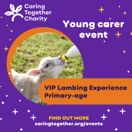 Young carer VIP Lambing Experience