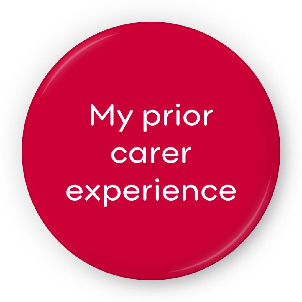 My prior carer experience
