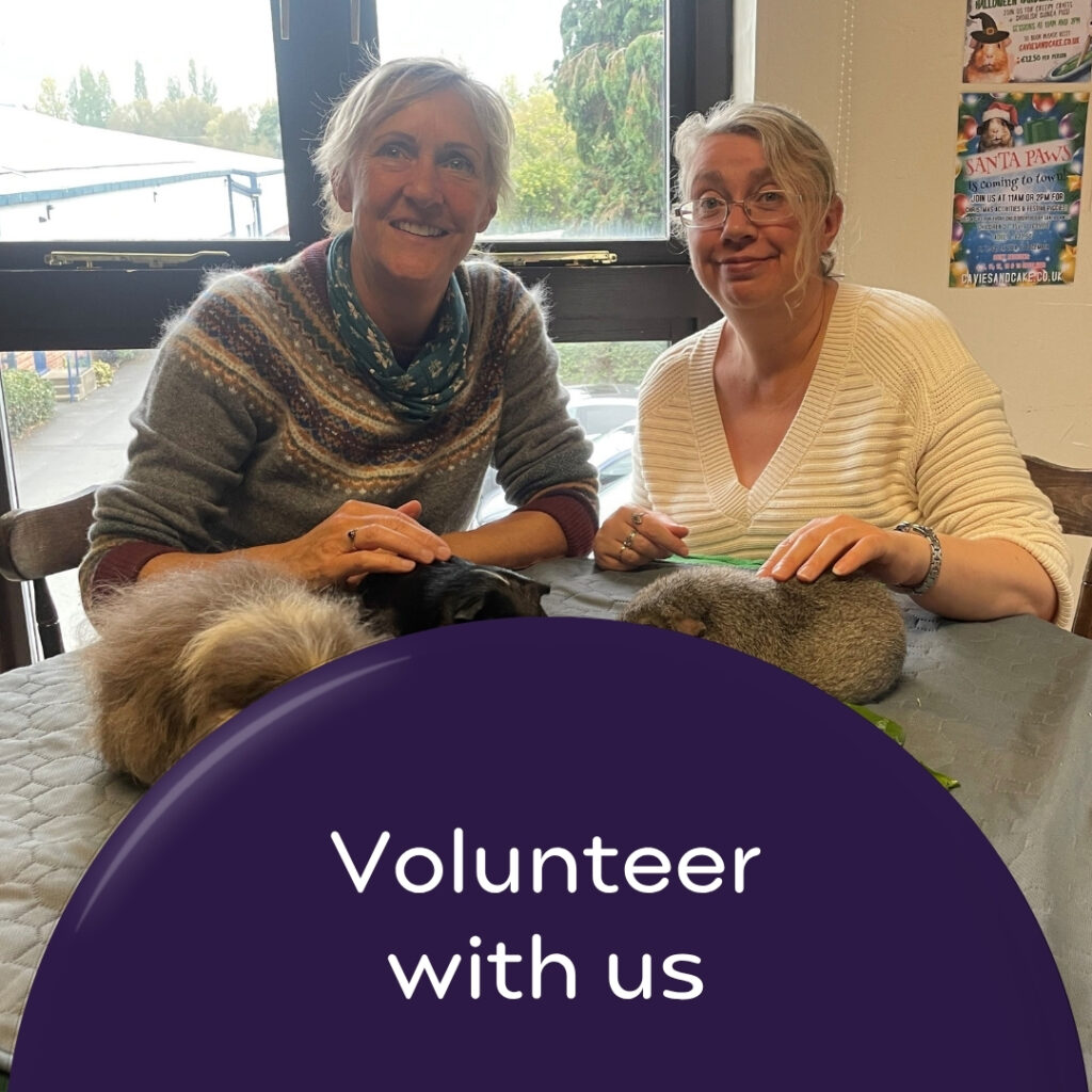 Volunteer Befriender with a lady she visits at a guinea pig cafe. Wording 'Volunteer with us'.
