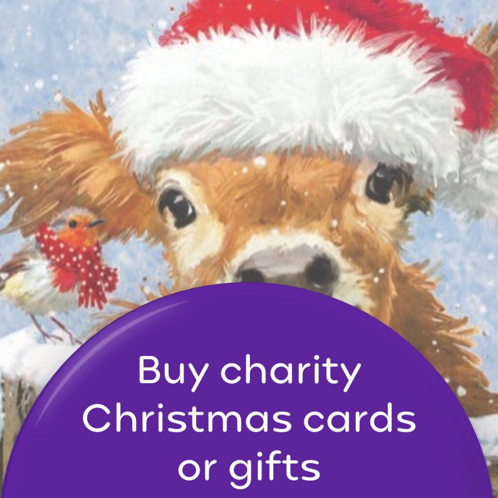 Buy charity Christmas cards or gifts